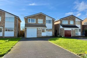 Front- click for photo gallery